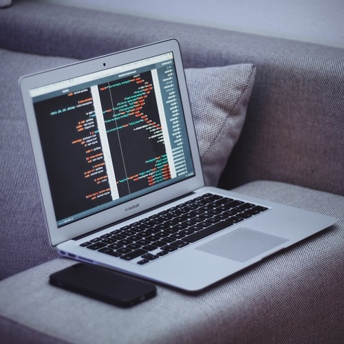 Working Experience